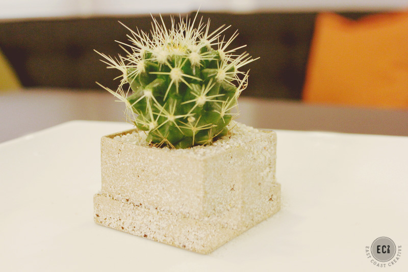 Faux Stone Succulent Place Cards & The Home Depot NYC Garden Party ...
