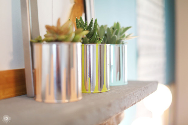 Paint Dipped Planters