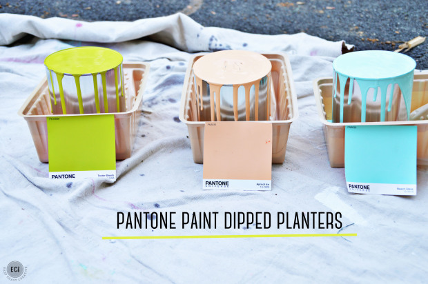 Pantone Paint Dipped DIY