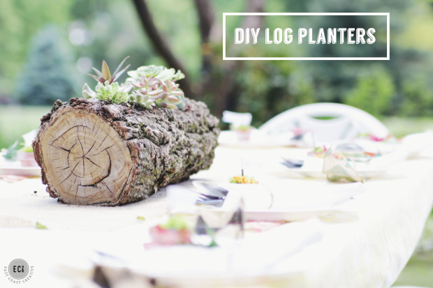 DIY Log Planters Project