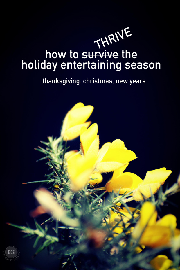How To survive the holidays