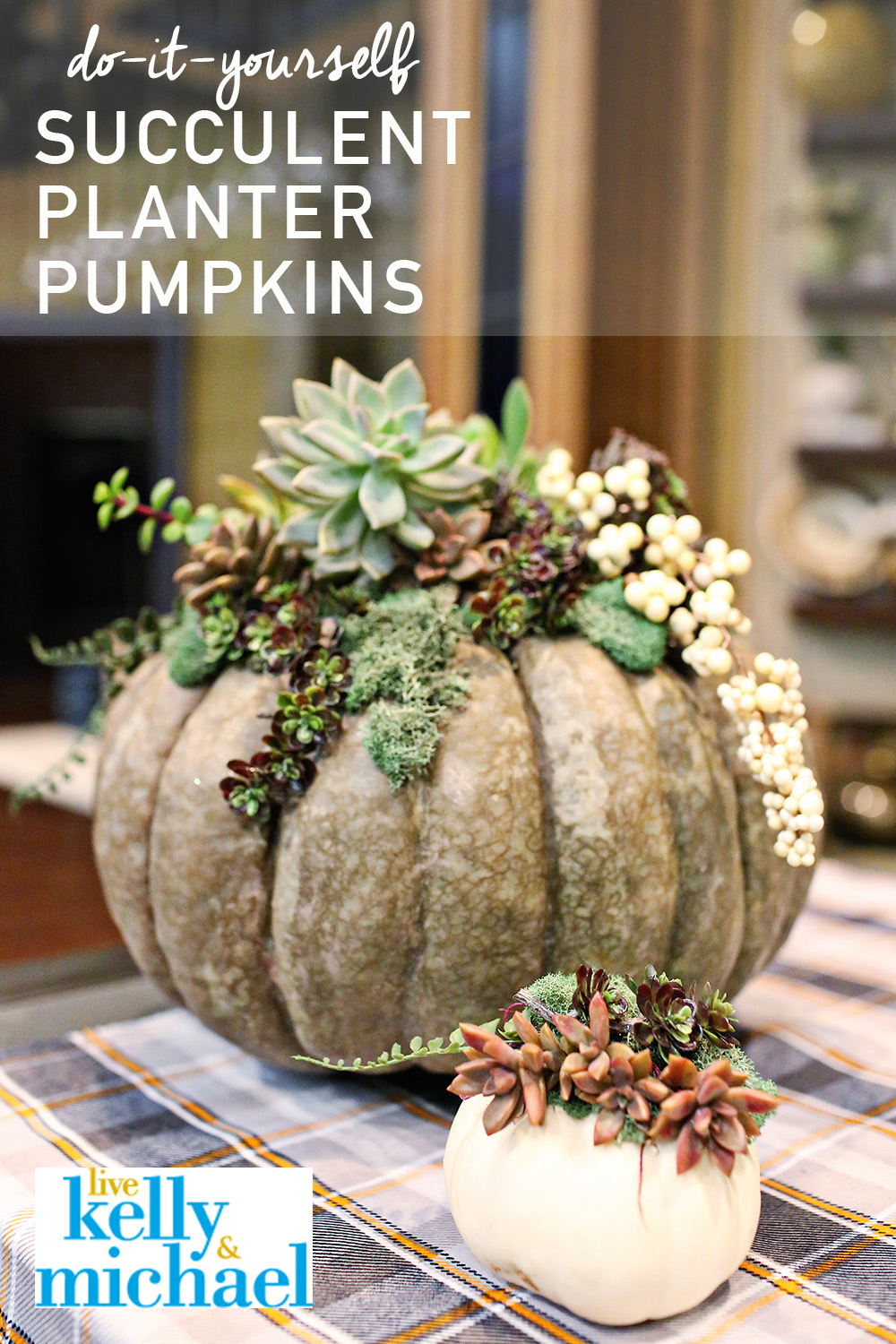 DIY PUMPKINS As Seen On Live! with Kelly & Michael