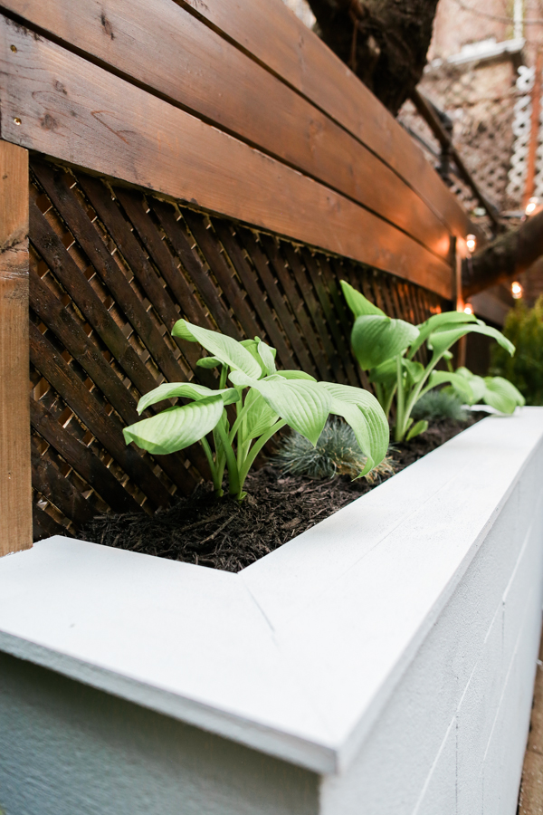DIY Urban Patio Makeover Cinderblock Planter Privacy Fence
