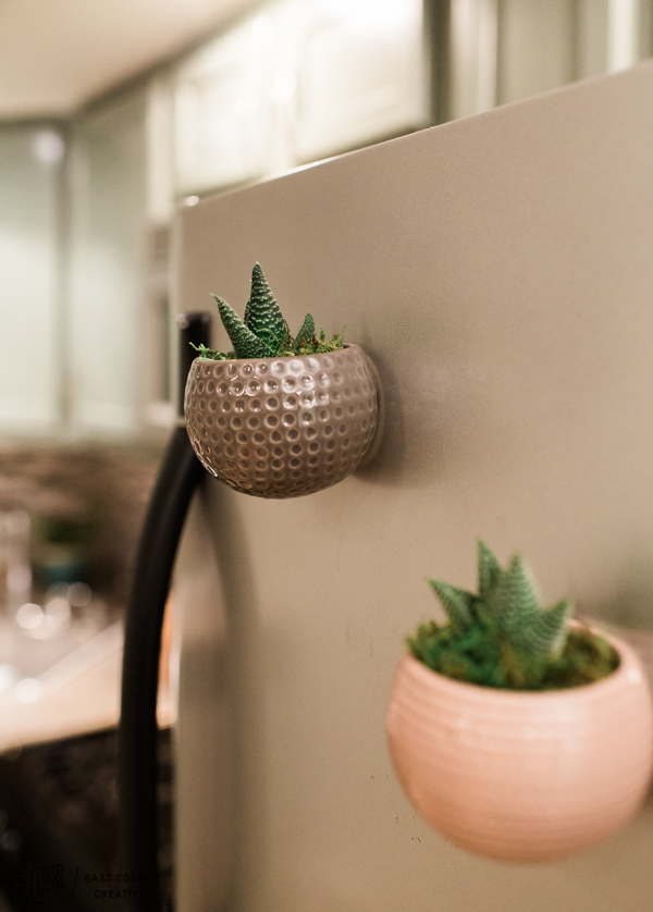 Kitchen accessories succulent magnets. DIY Kitchen Makeover as seen on Weekender Series East Coast Creative. 